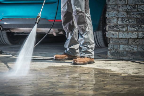 Animal Enclosure Cleaning in Glen Carbon, IL